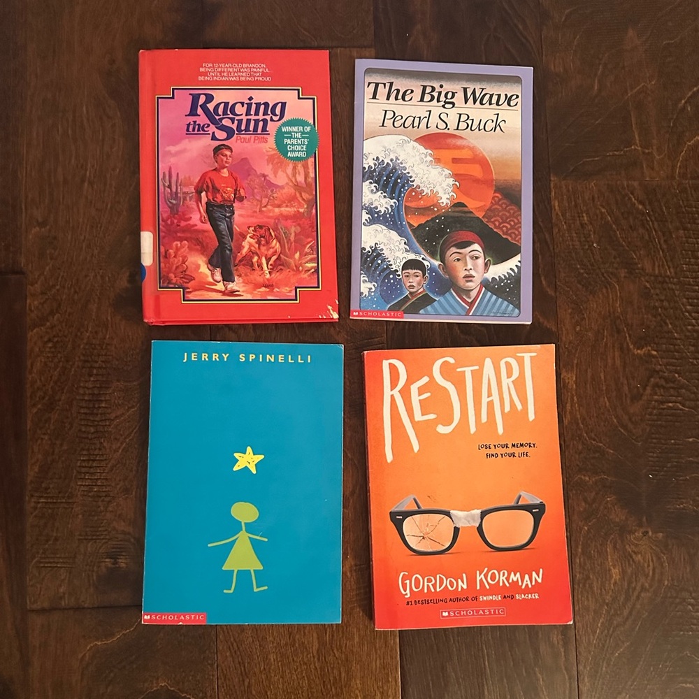 Set of Four Colorful hardcover books about humanity and resilience Star Girl